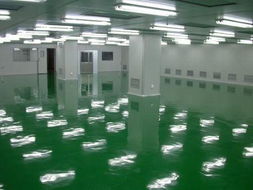 環氧凈化地板
