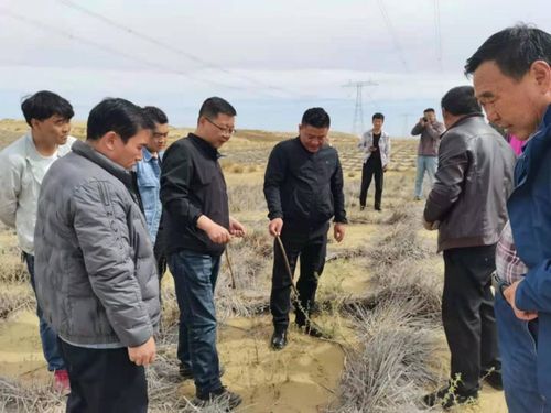 省林草局強化重點生態工程專項督查，保障建筑工程與生態保護協調發展